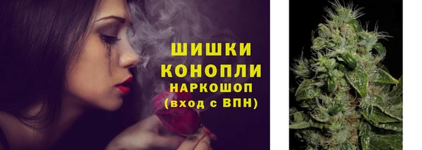 PSILOCYBIN Белая Холуница