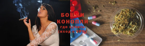 прущие грибы Новодвинск