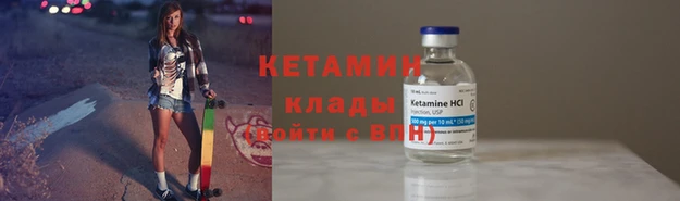 прущие грибы Новодвинск