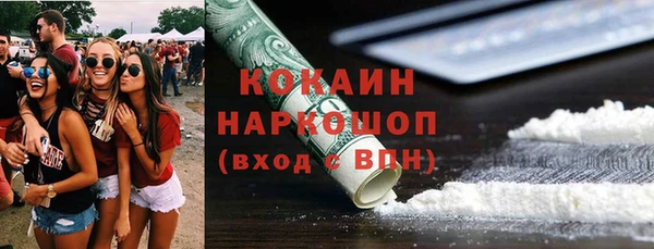 прущие грибы Новодвинск