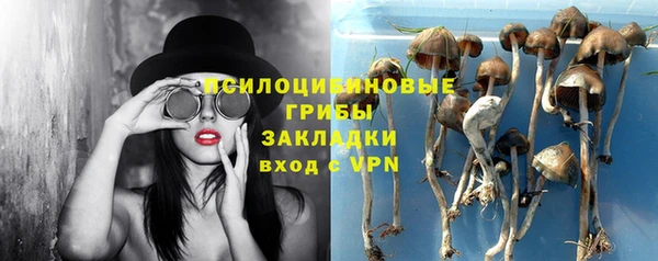 молекула духа Новокубанск