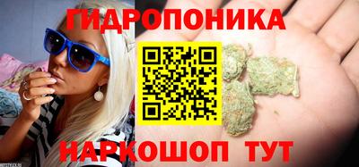 дурь Гагарин