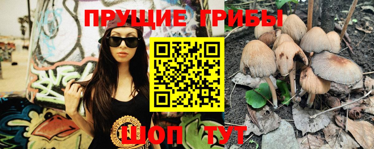 Армавир  Псилоцибиновые грибы мухоморы  купить  цена  Вход с VPN 